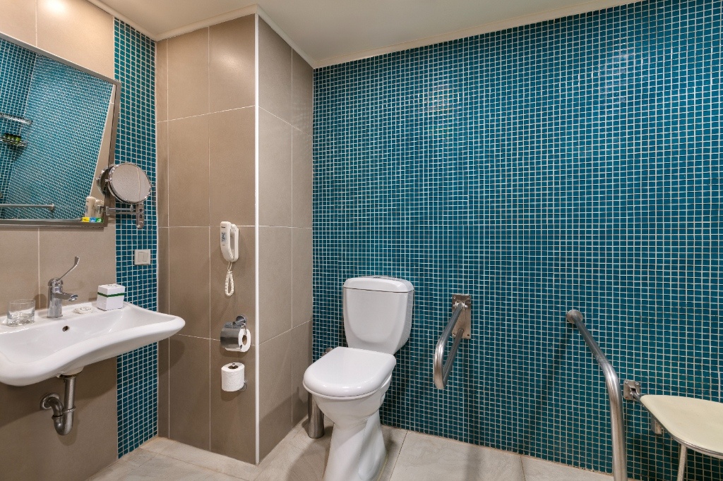 Handicapped Room 2