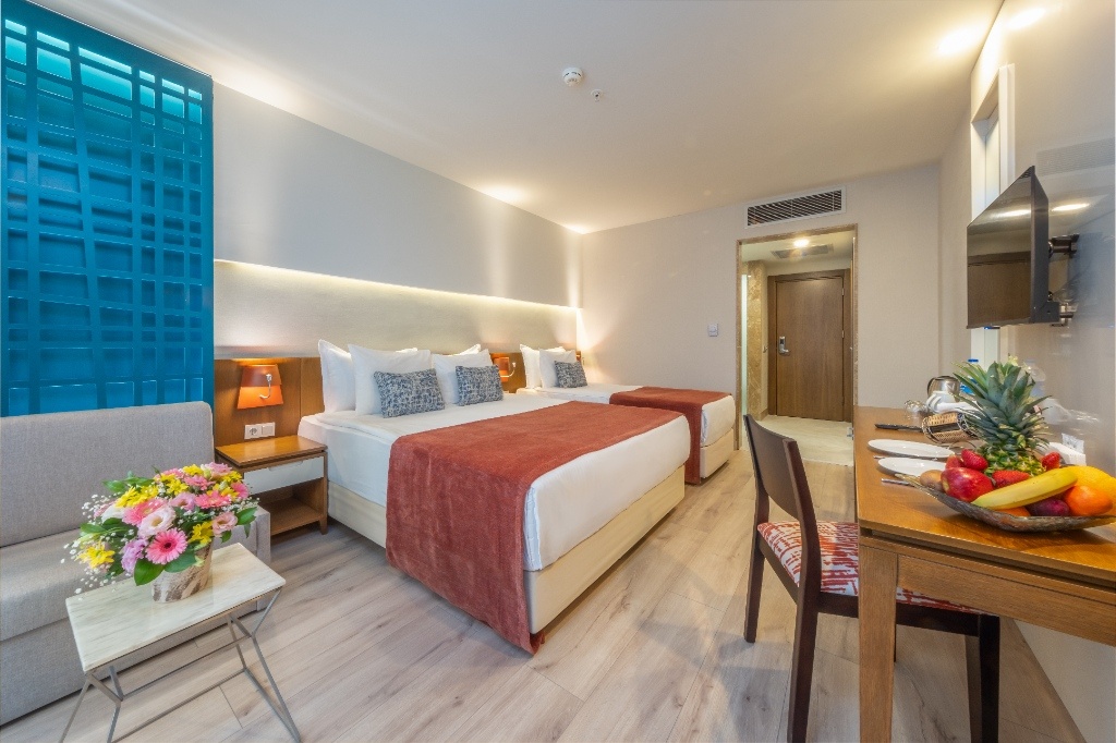 Standard Economy Room Limited View 1