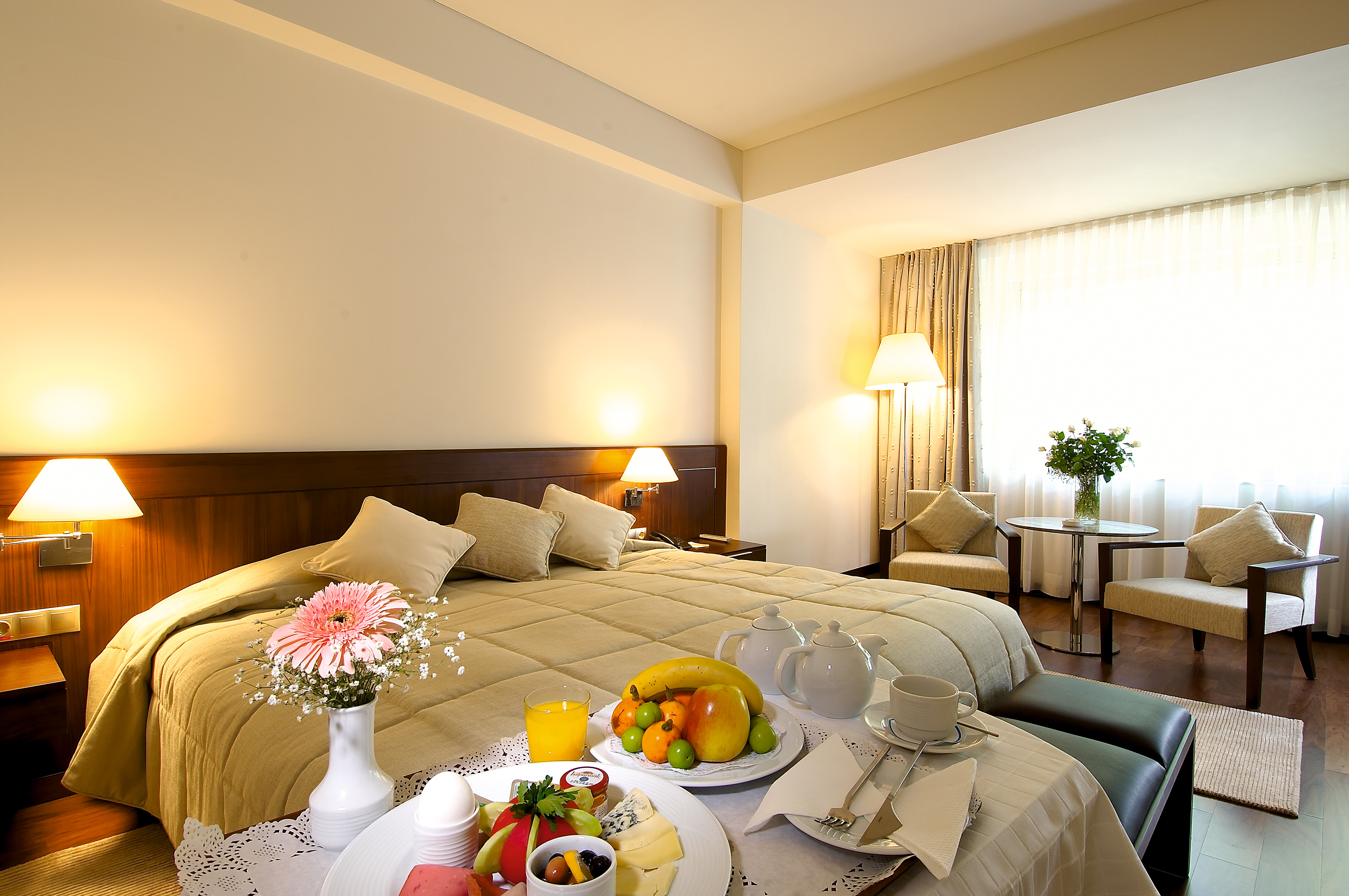 Room Standard Without Balcony-Terrace 1