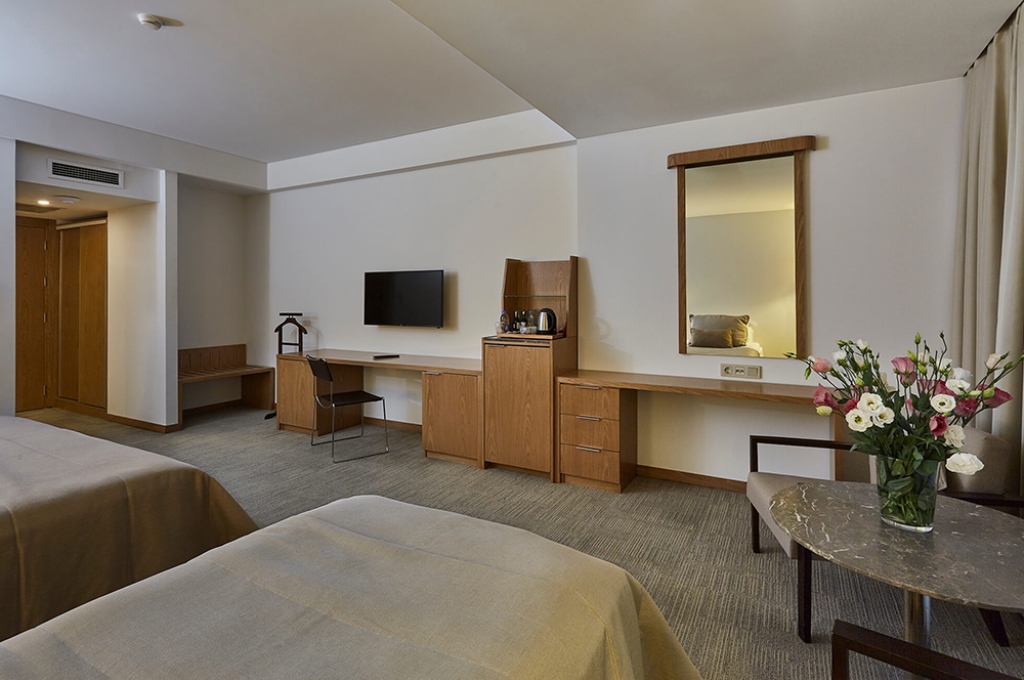 Room Standard Without Balcony-Terrace 3