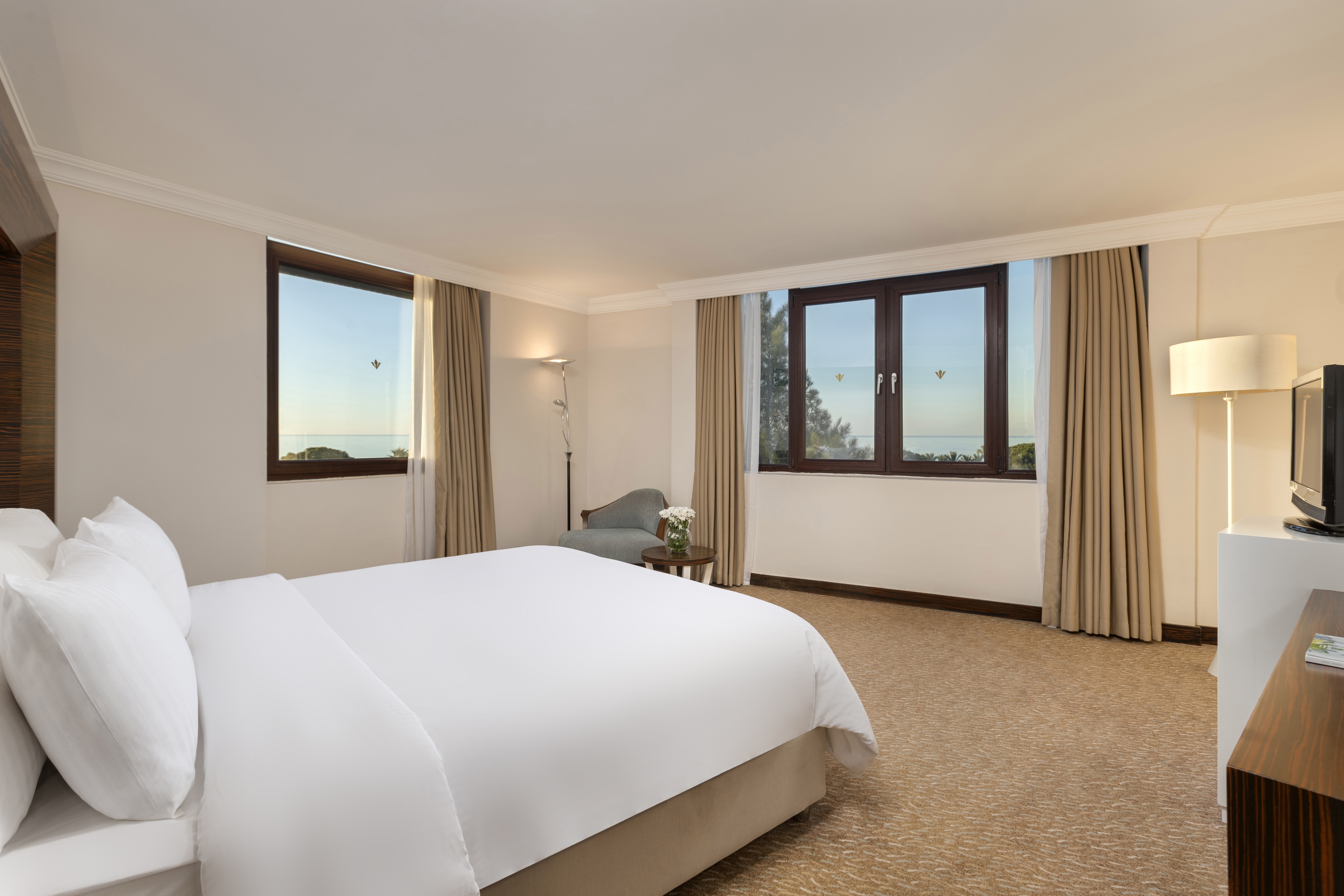 Jacuzzi Suite 1