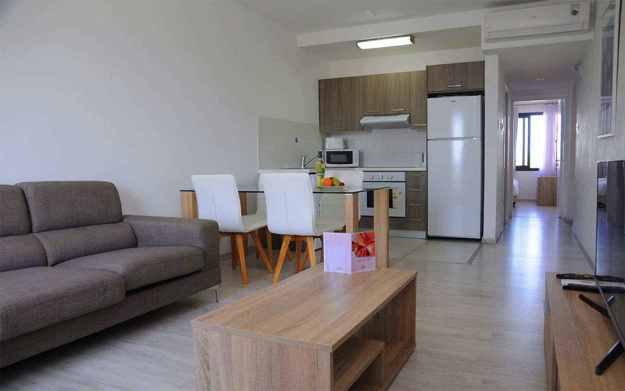 One Bedroom Apartment 4