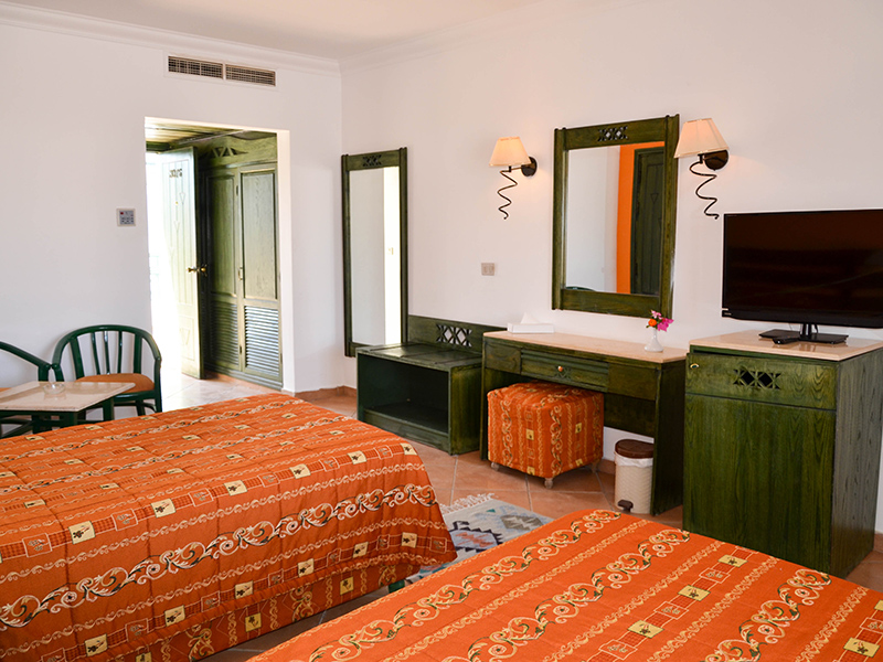 Standard Garden View Room 4