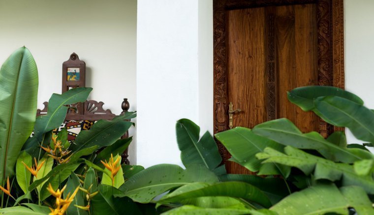 Safari room 1