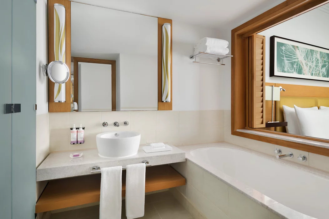 Deluxe Partial Sea View with Balcony 4