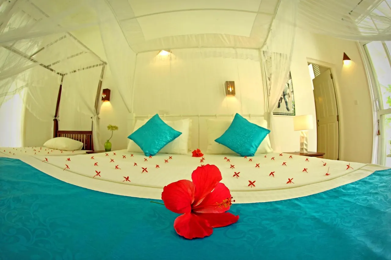 Deluxe Room 2