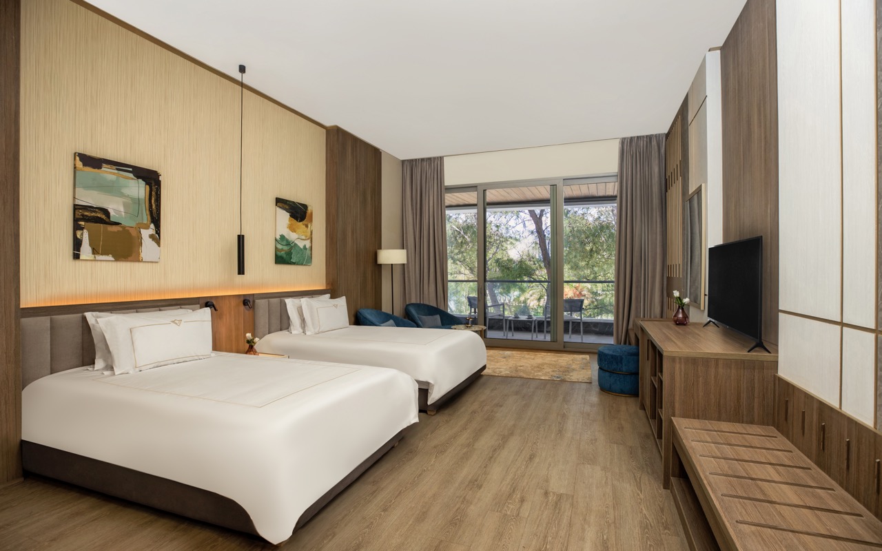 Deluxe Room Park View 2