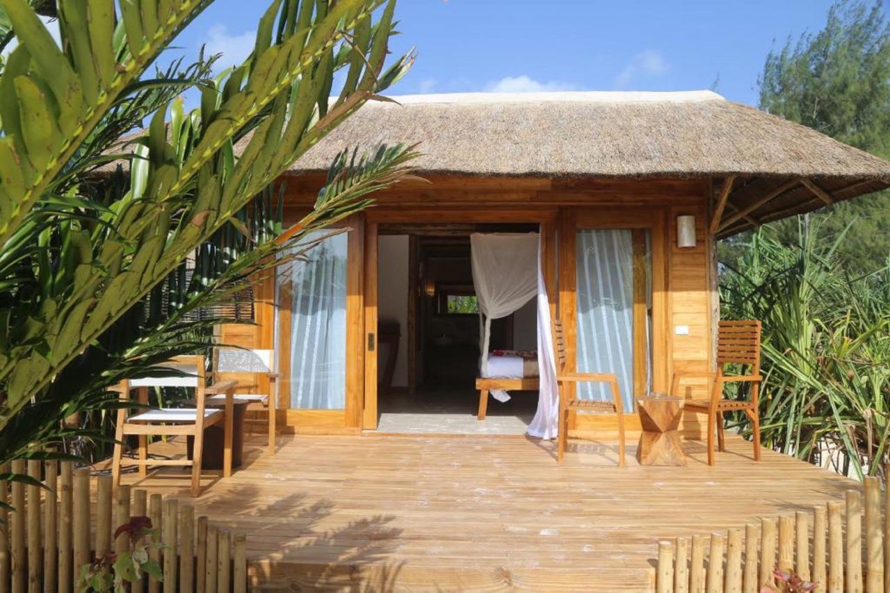 Garden Jungle Room 1