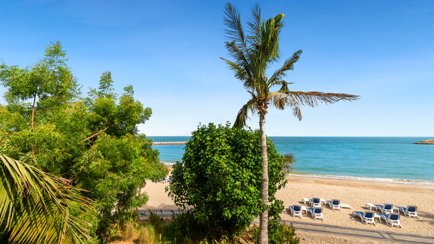 One Bedroom Premium Suite Beach Front 2