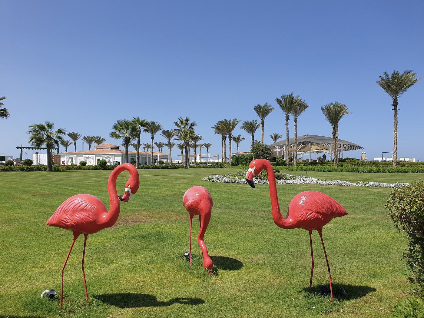 Ghazala Resort & Spa El Alamein 5