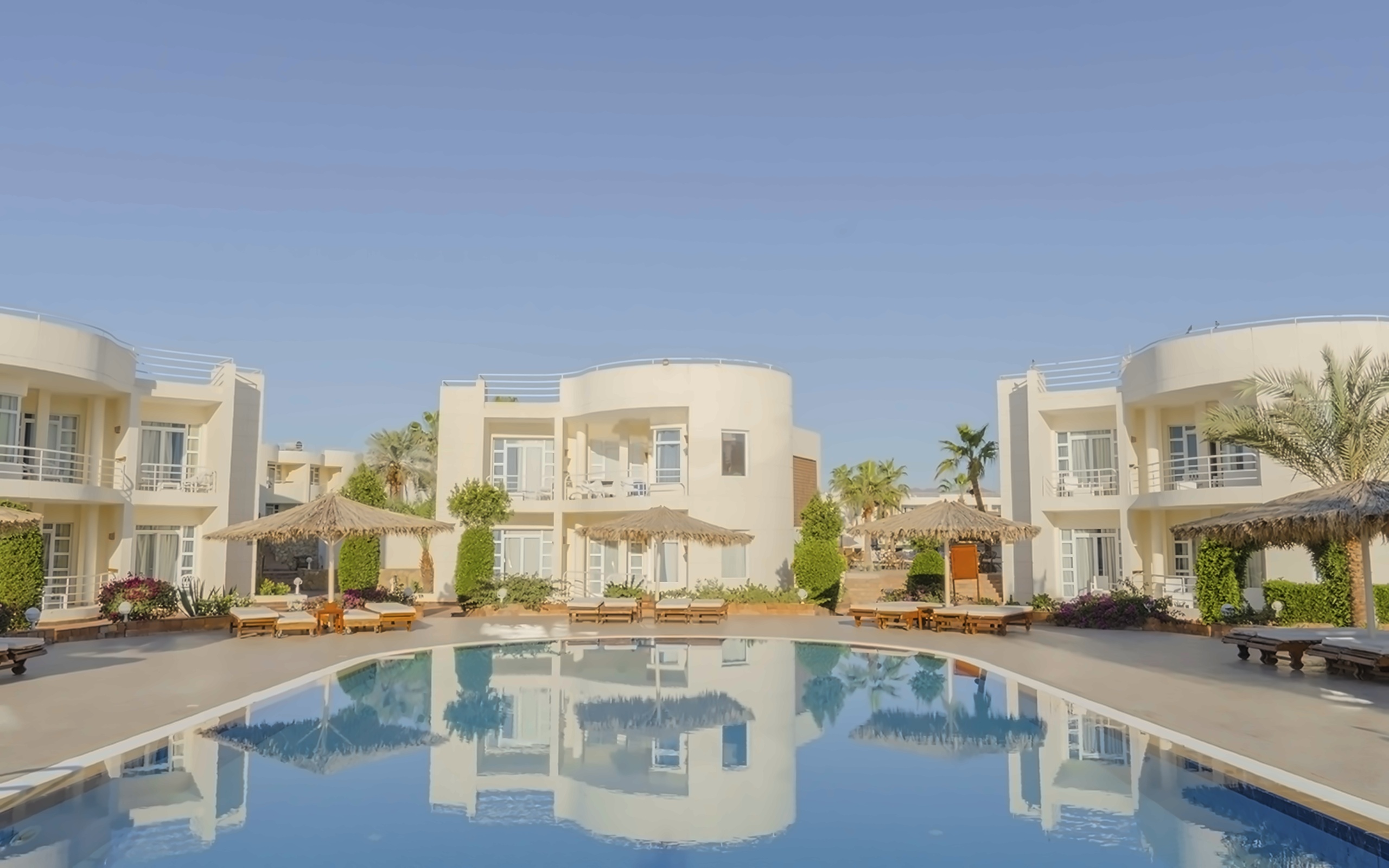 Sharm Reef 4