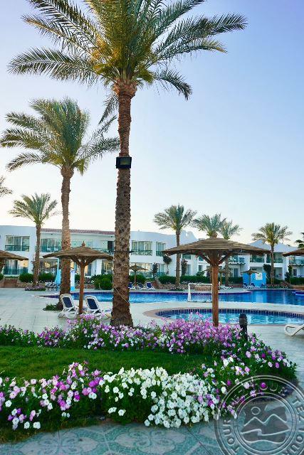Panorama Naama Heights 2