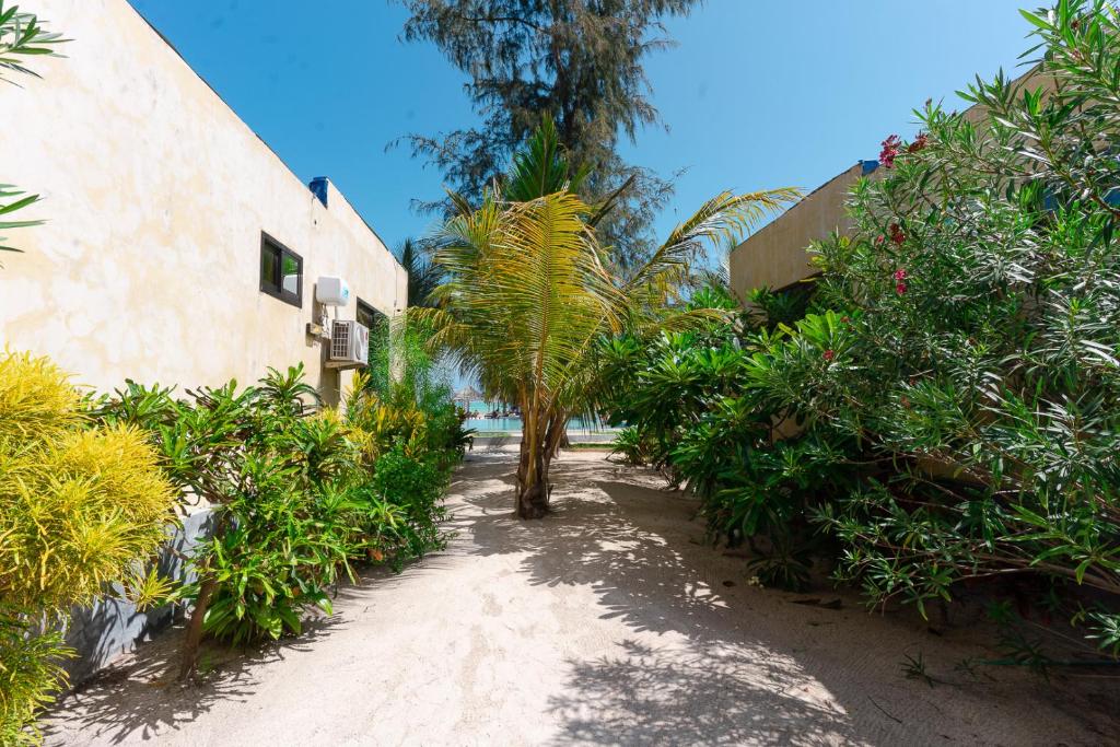 Jambo Resort by Mambo Hotels 6