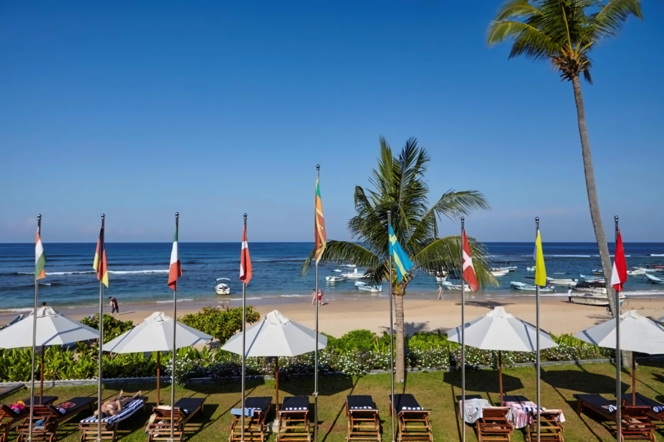 Coral Sands 4