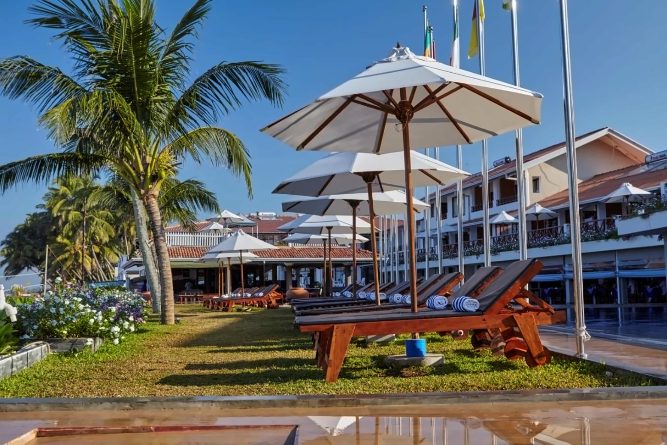 Coral Sands 2