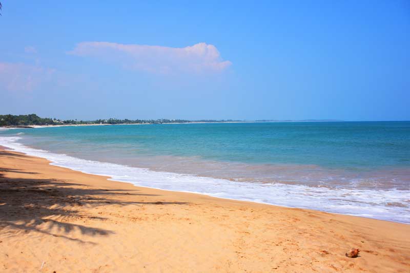 Ceylon Sea Hotel 4