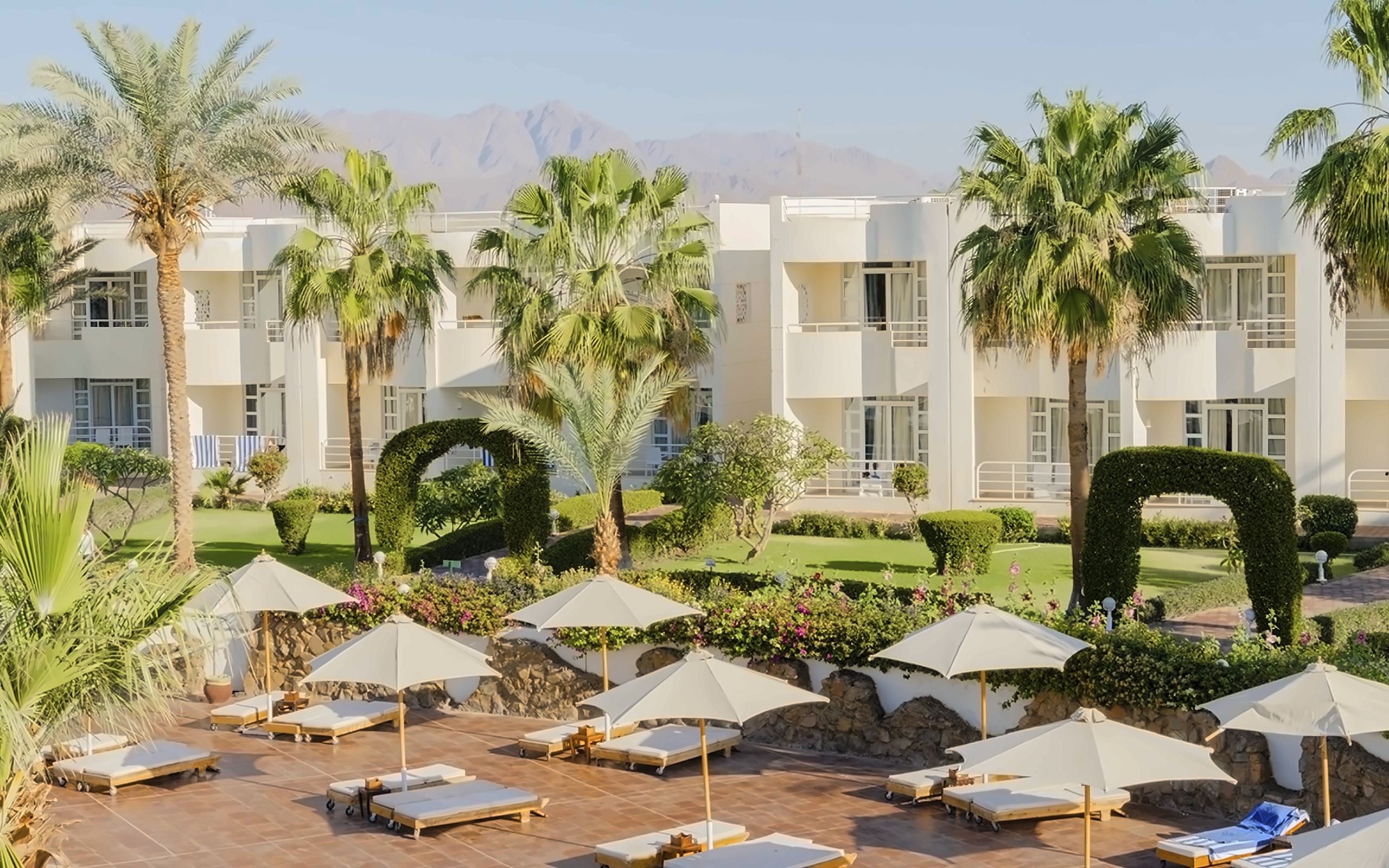 Sharm Reef 2