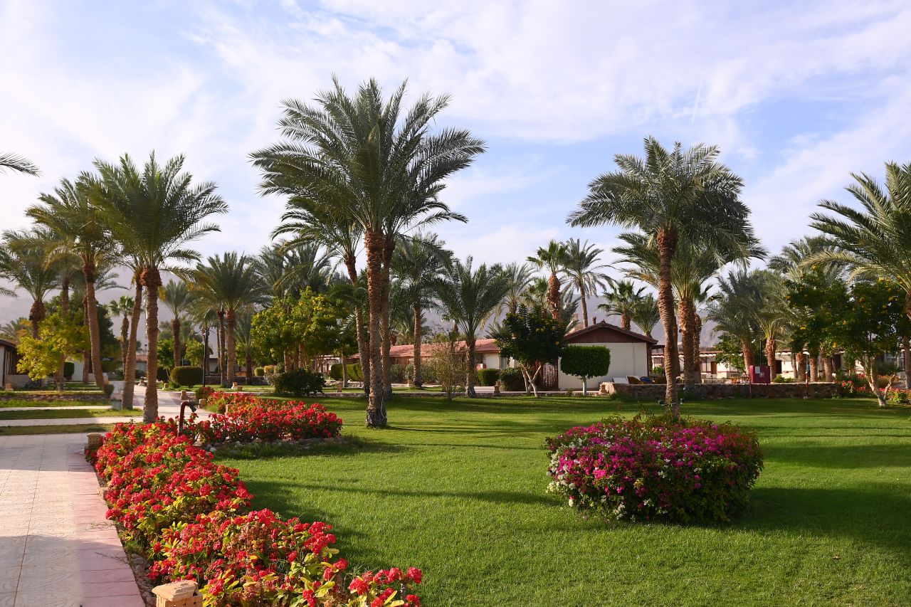 Fiord Club Resort & SPA 4