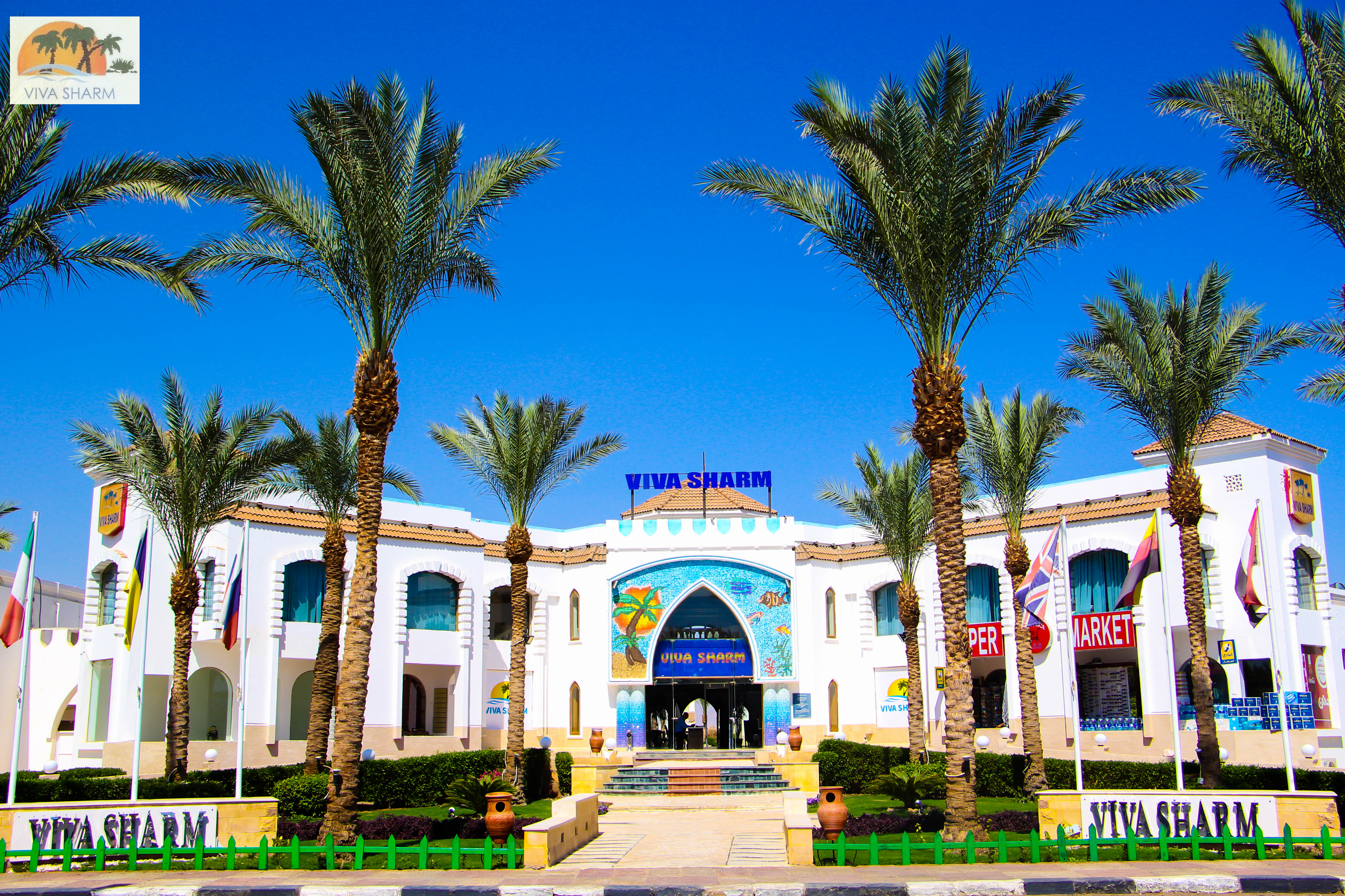 Viva Sharm Hotel 3