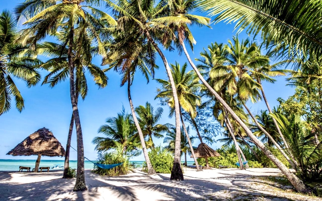 Pongwe Beach Hotel 2