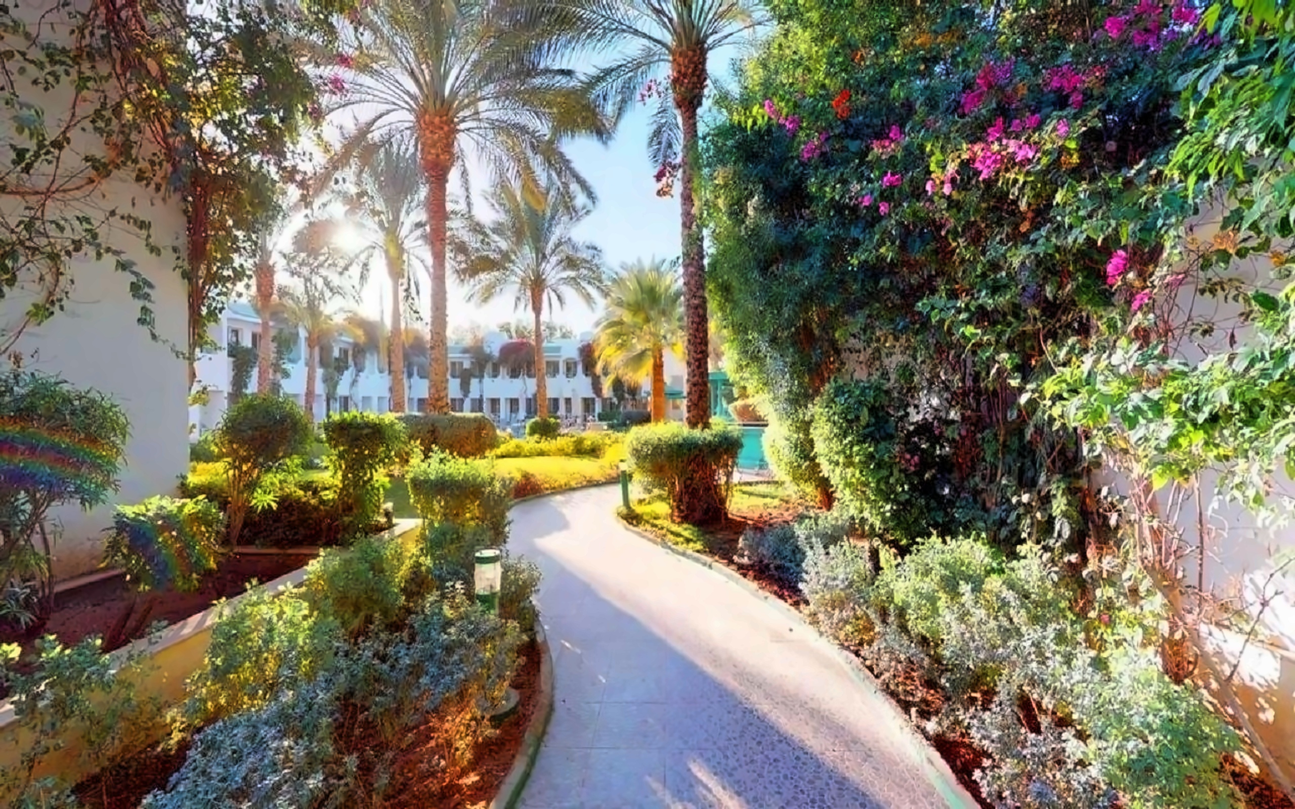 Falcon Hills 6