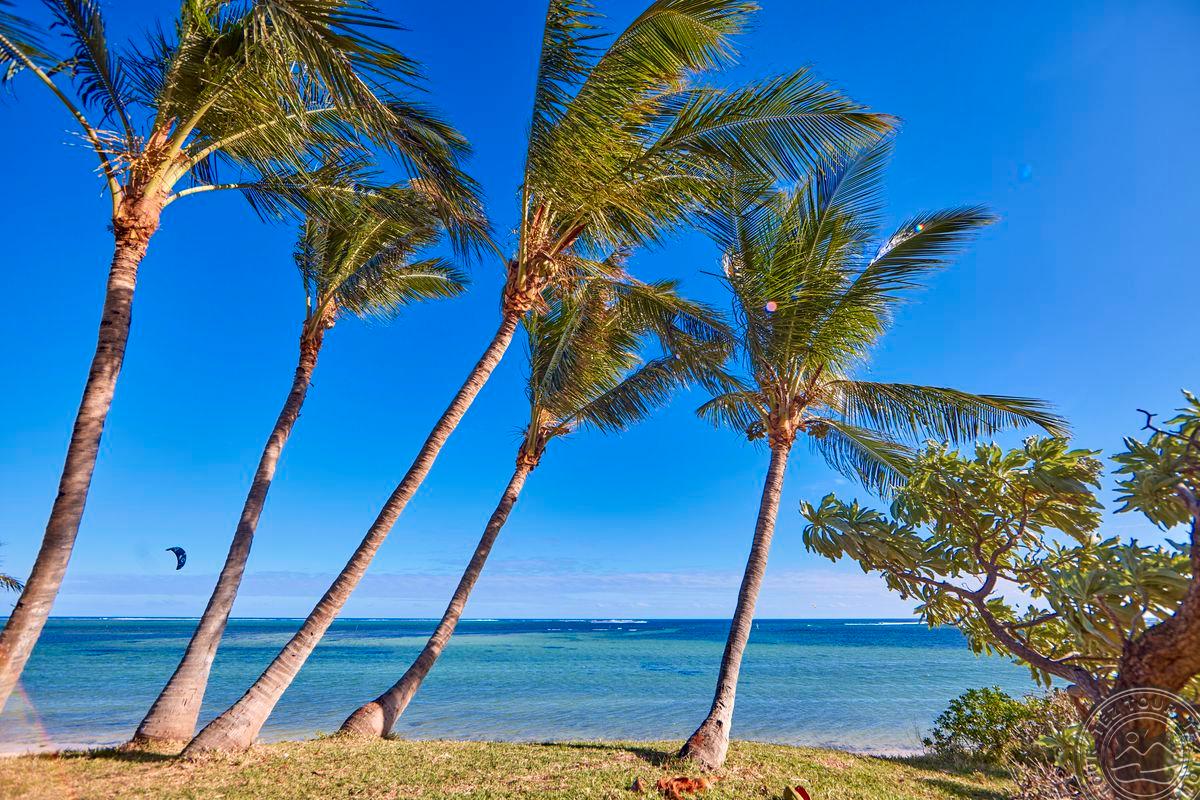 Riu Turquoise 3