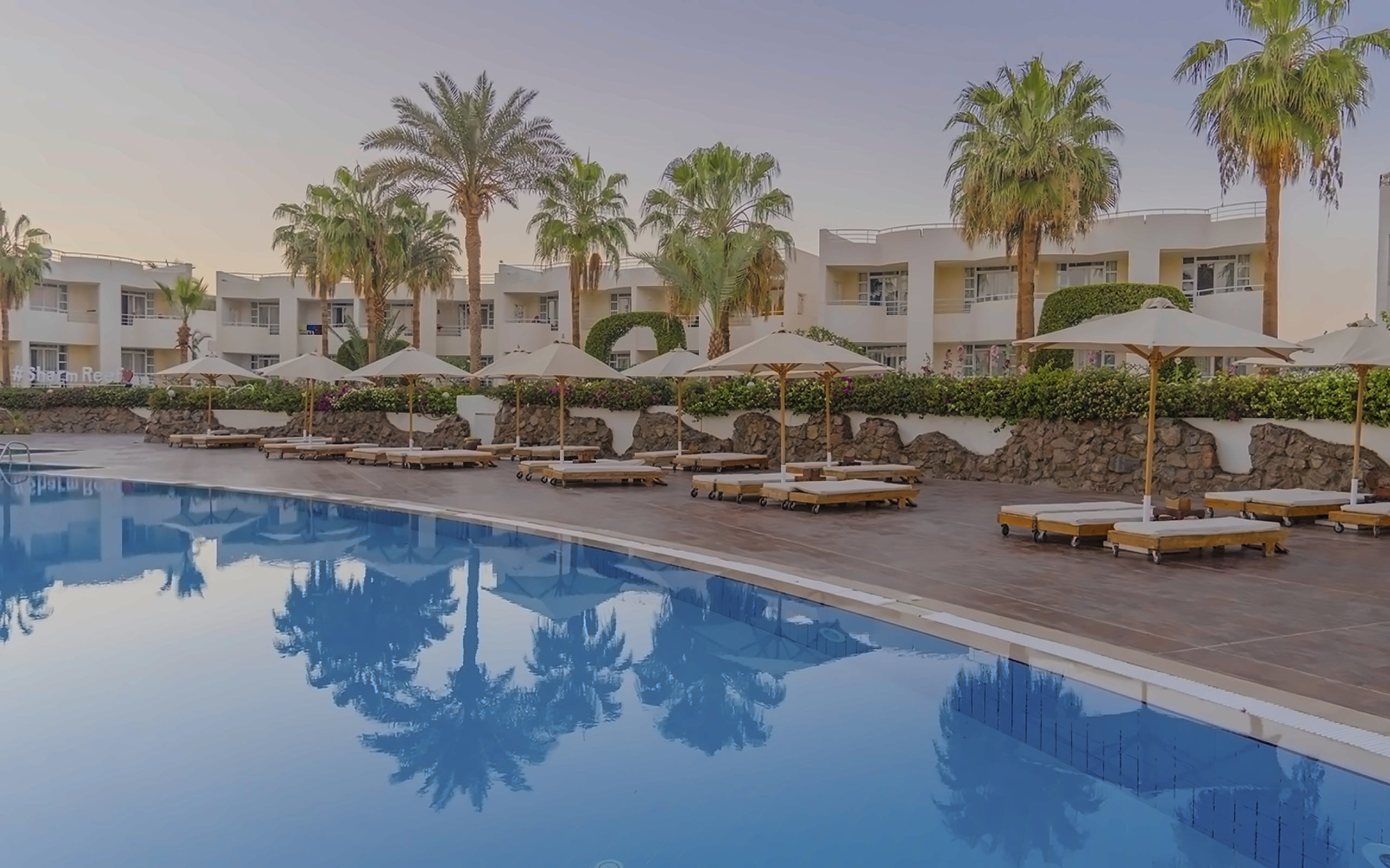 Sharm Reef 6