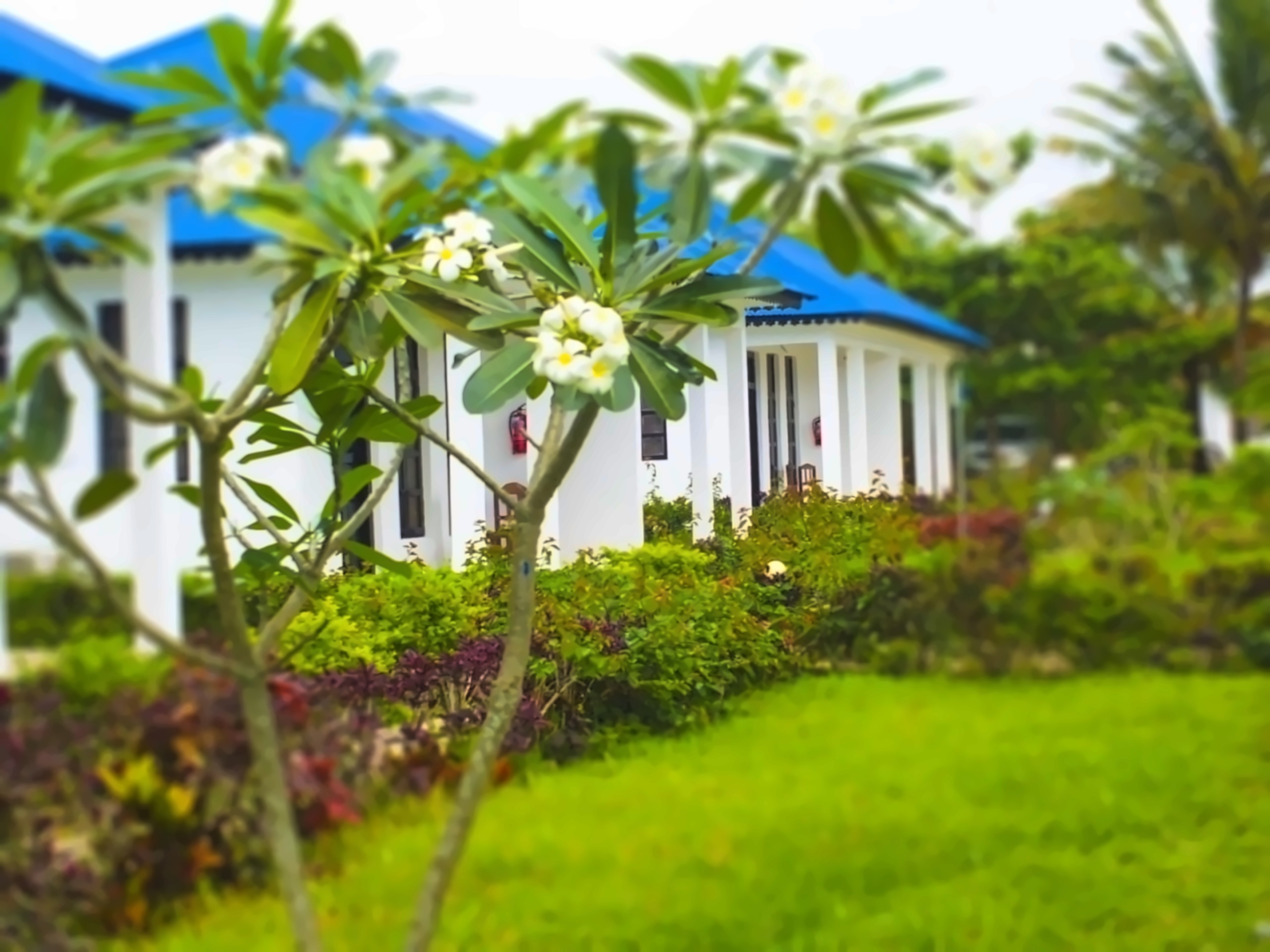 Kigwedeni Villas 3