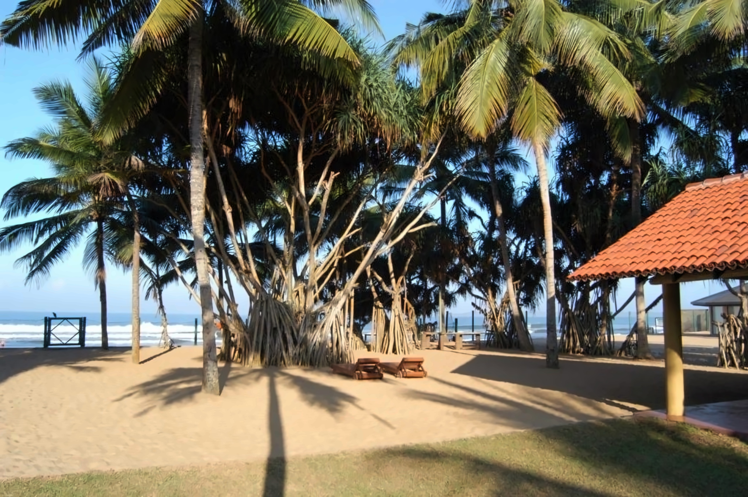 Hibiscus Beach  5