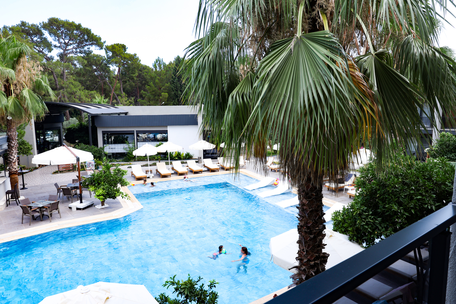 Forest In Hotel 4