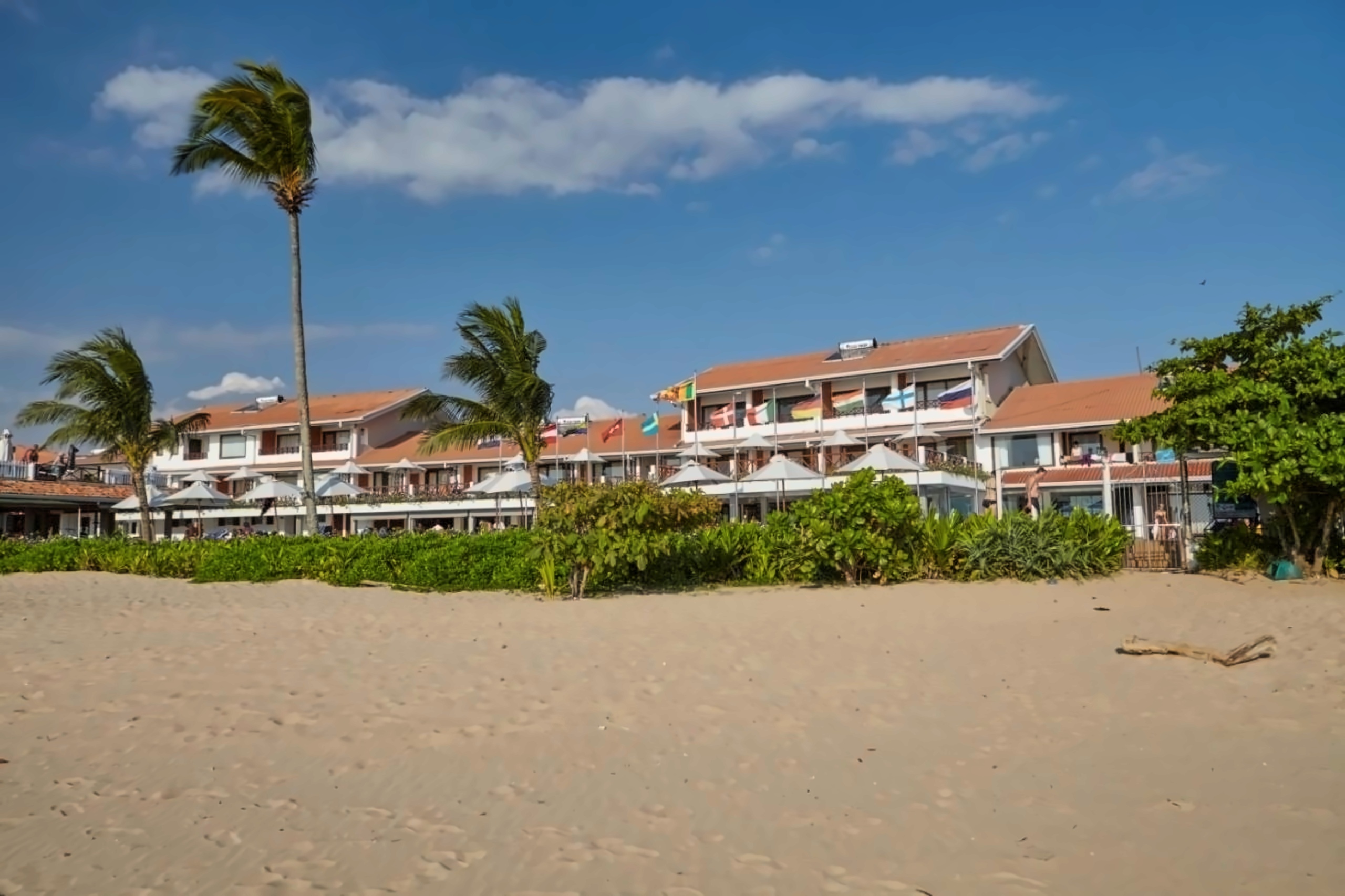 Coral Sands 3