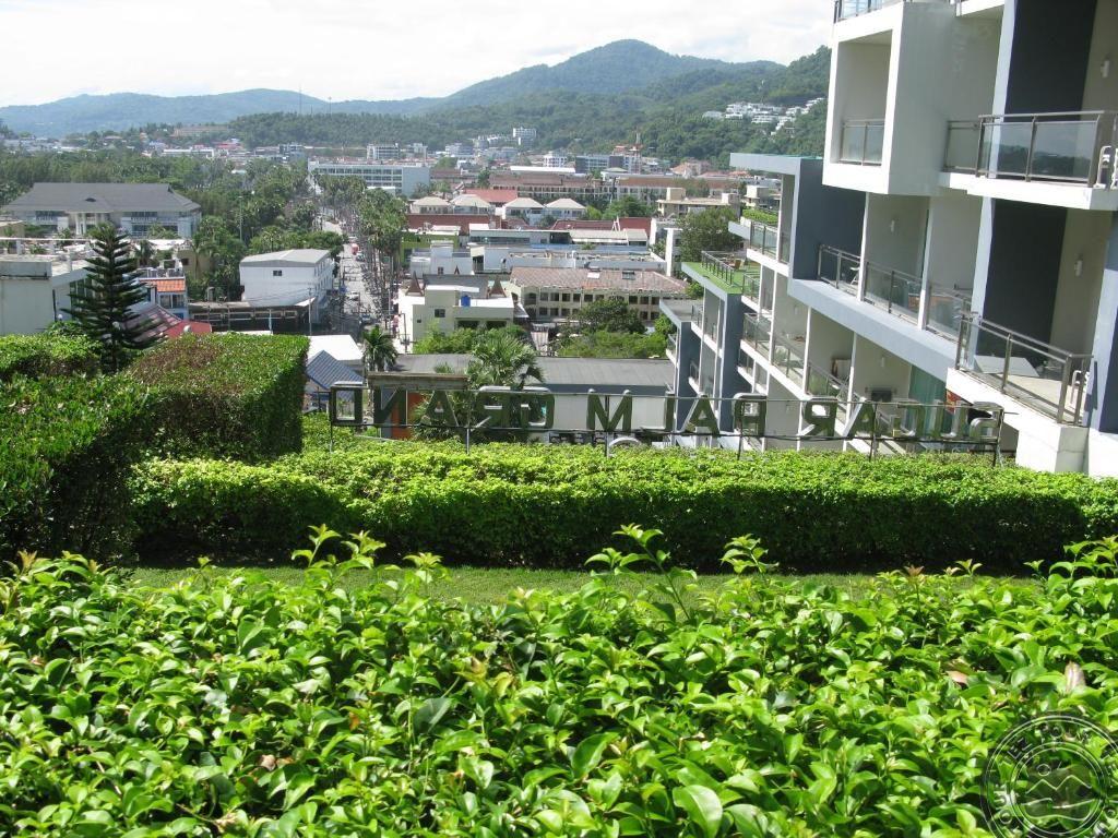 Sugar Palm Grand Hillside 6