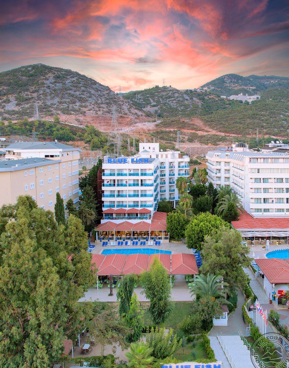 Blue Fish Hotel 4