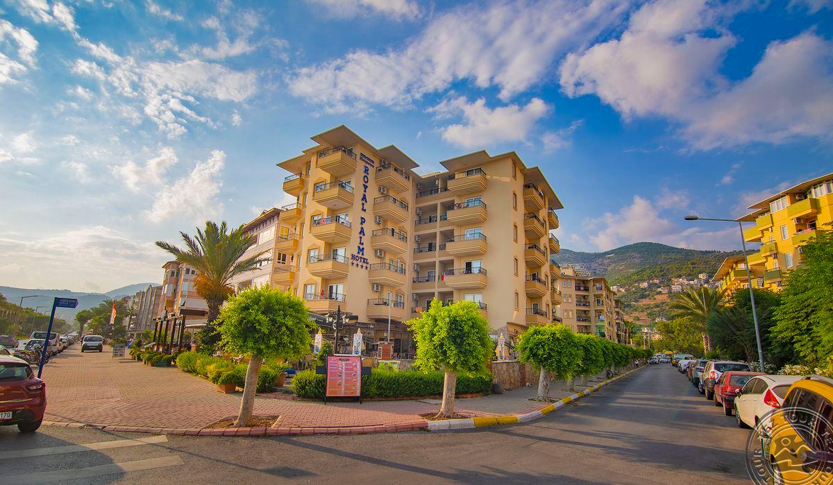 Kleopatra Royal Palm 2