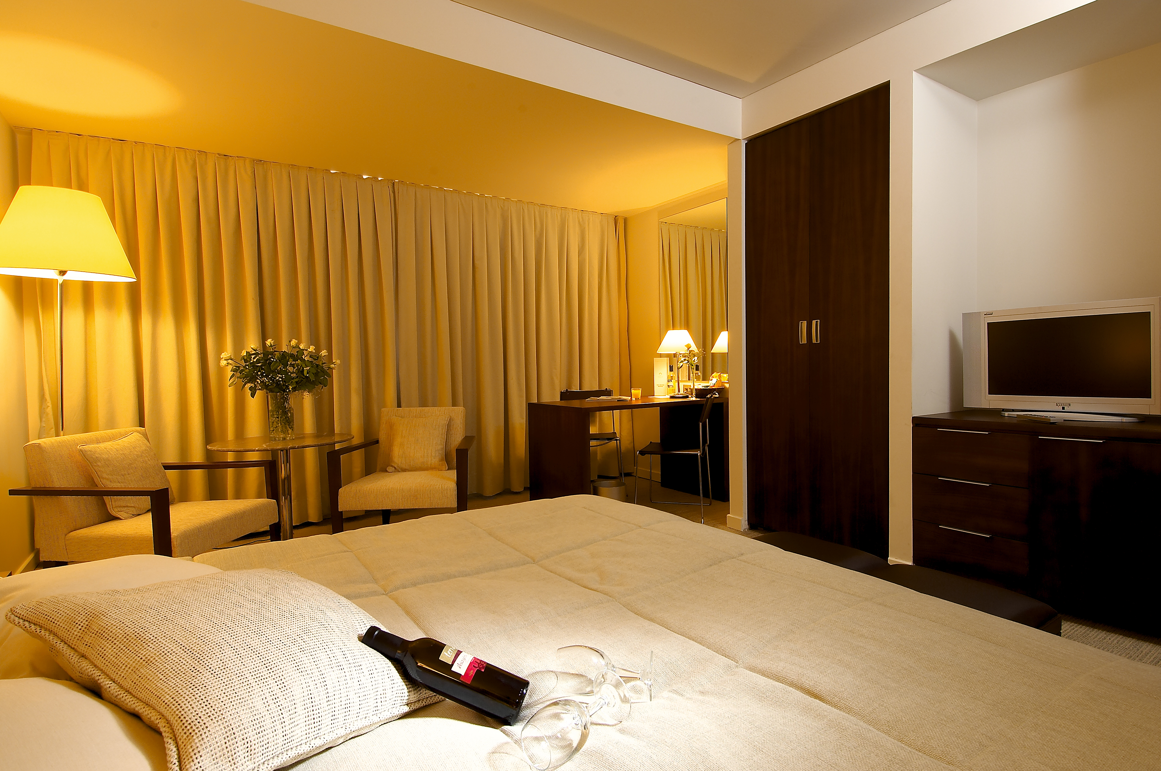 Room Standard Without Balcony-Terrace 2
