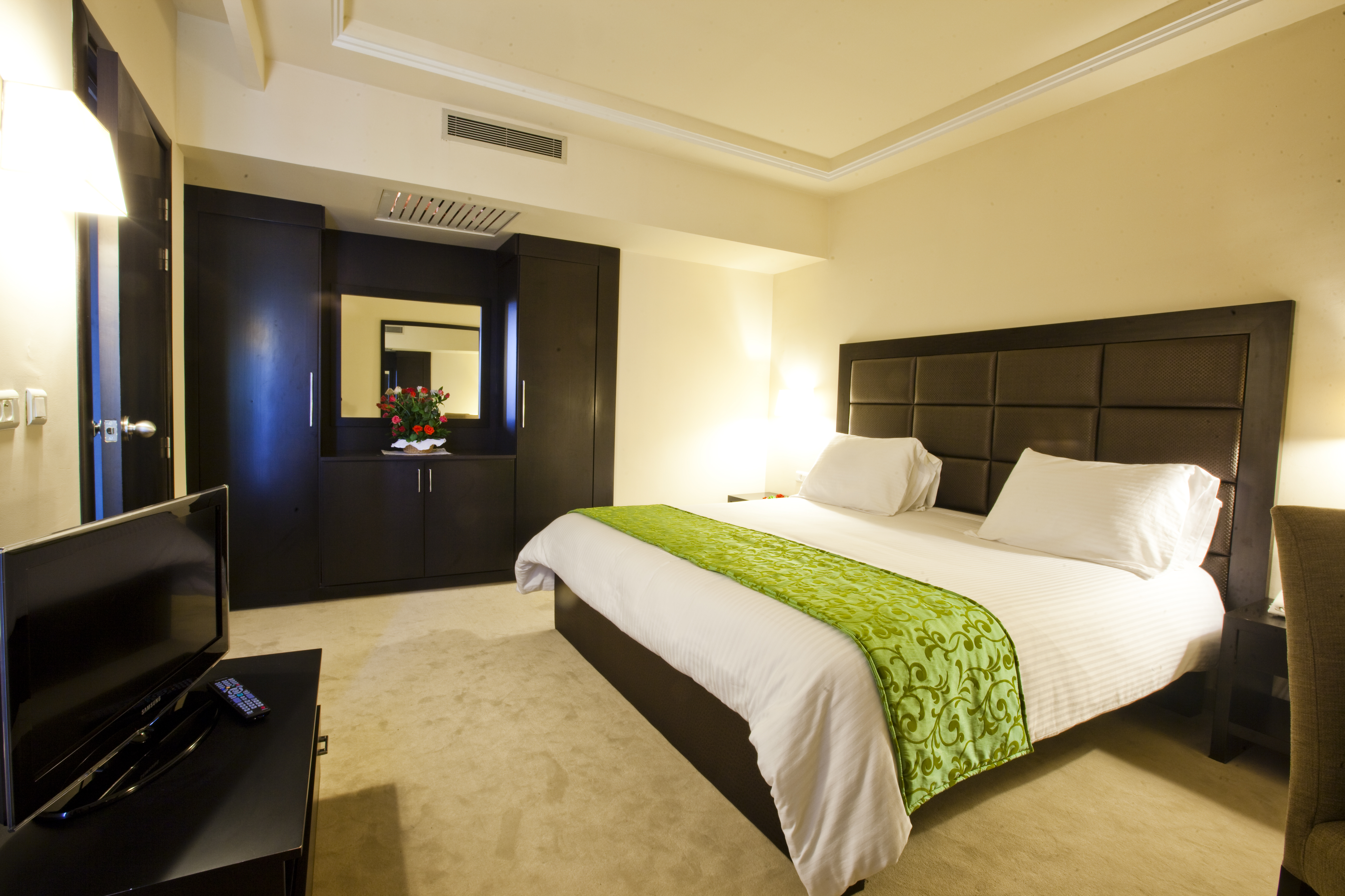 Suite Junior with balcony or terrace 1