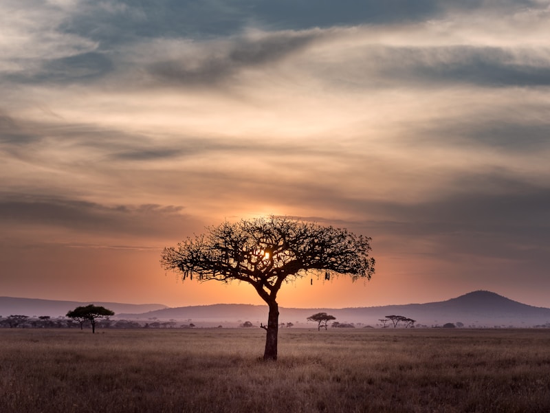 Aafrika